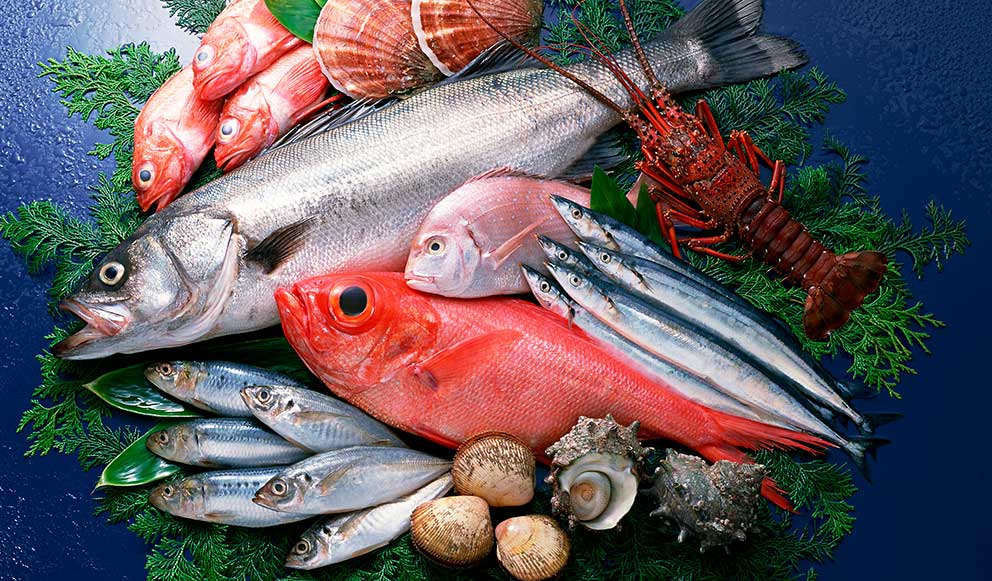 productos marinos